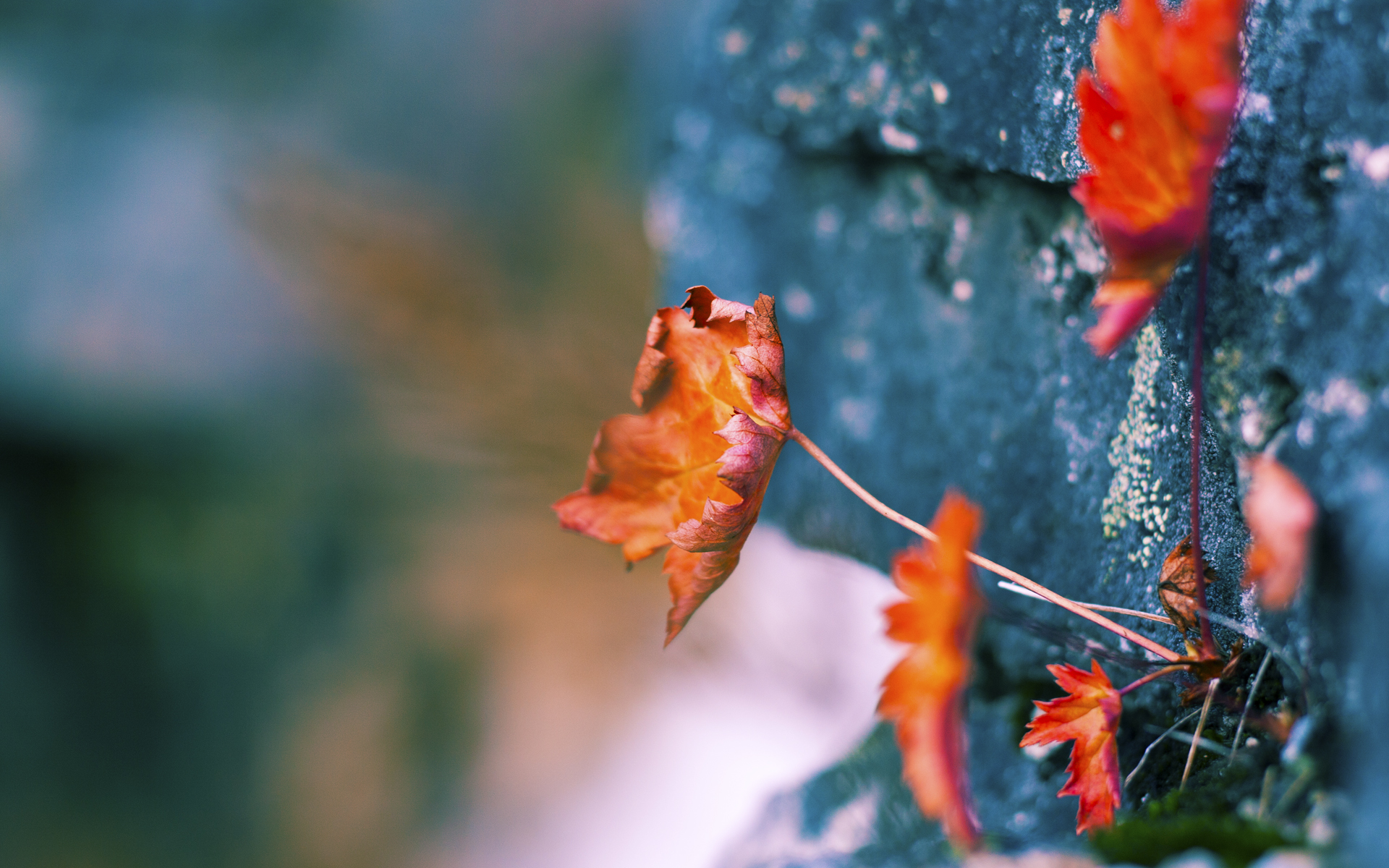 火箭对阵山西队，德罗赞里程碑之夜，见证传奇与未来的碰撞