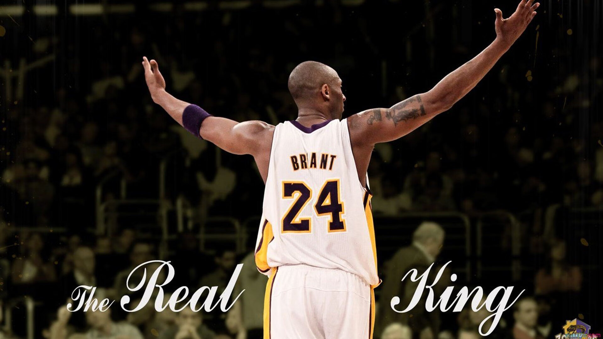 伊布神威定乾坤，加纳火力压制那不勒斯，关键先生改写战局